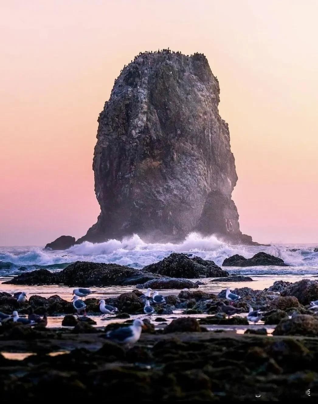 火山之舞：揭秘俄勒冈州海岸的火山礁石

俄勒冈州的海岸以其独特的火山礁石景观而闻