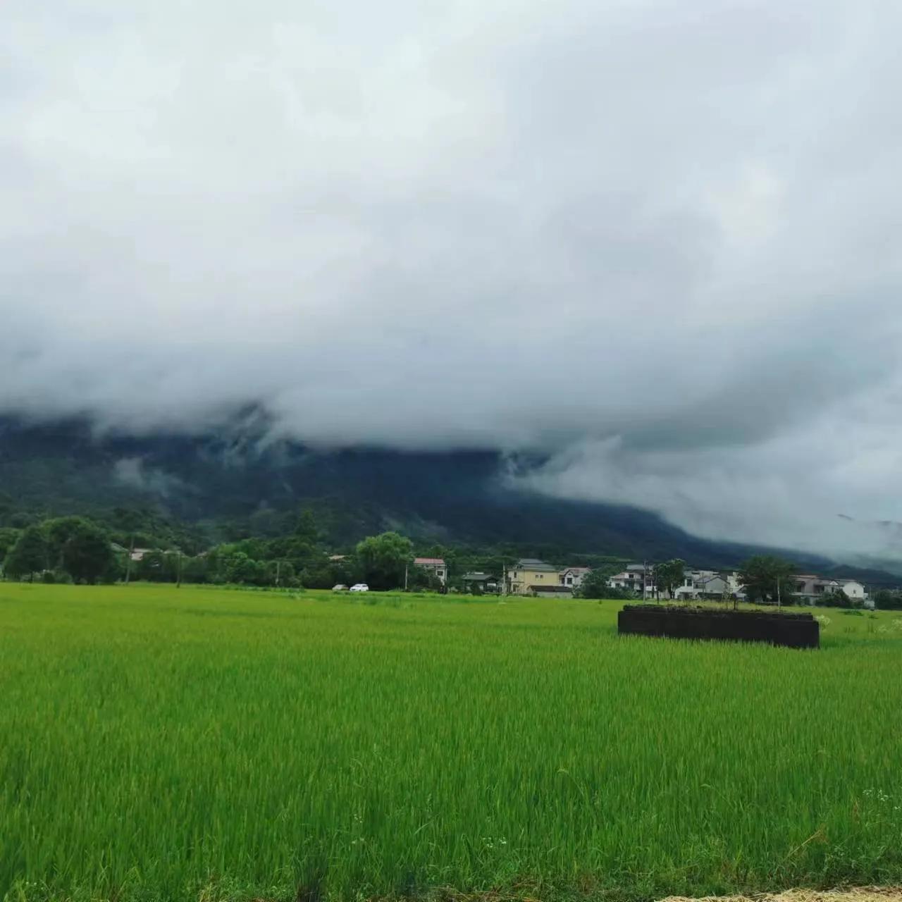 山雨欲来