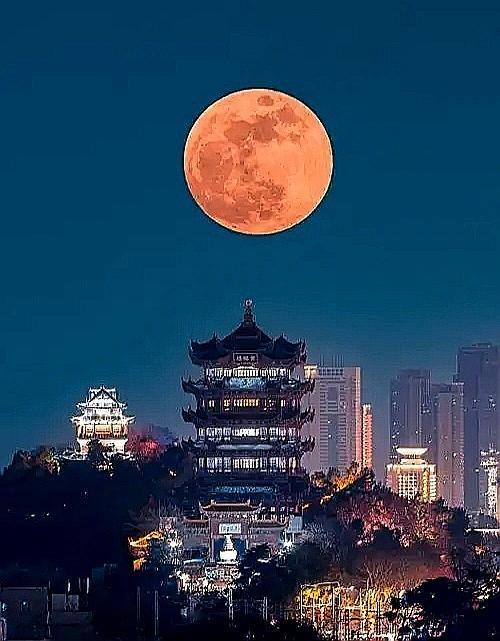 上联：月若无坑月更亮
下联：[加一][加一][加一][加一]

请赐下联。月亮上