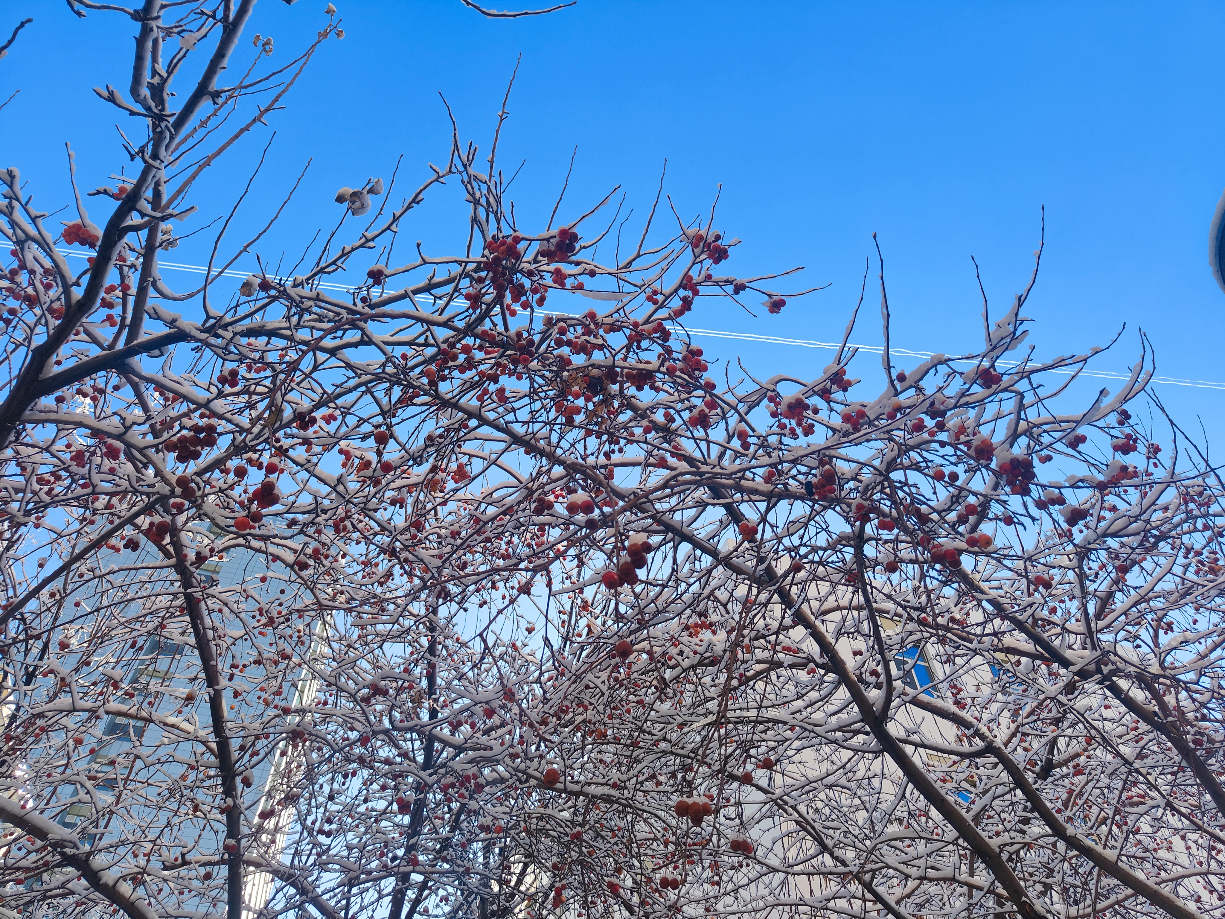 每日一善 阳光‎信用 身处低谷，怎么走都是向上。没有谁生来自带铠甲，但你可以让自