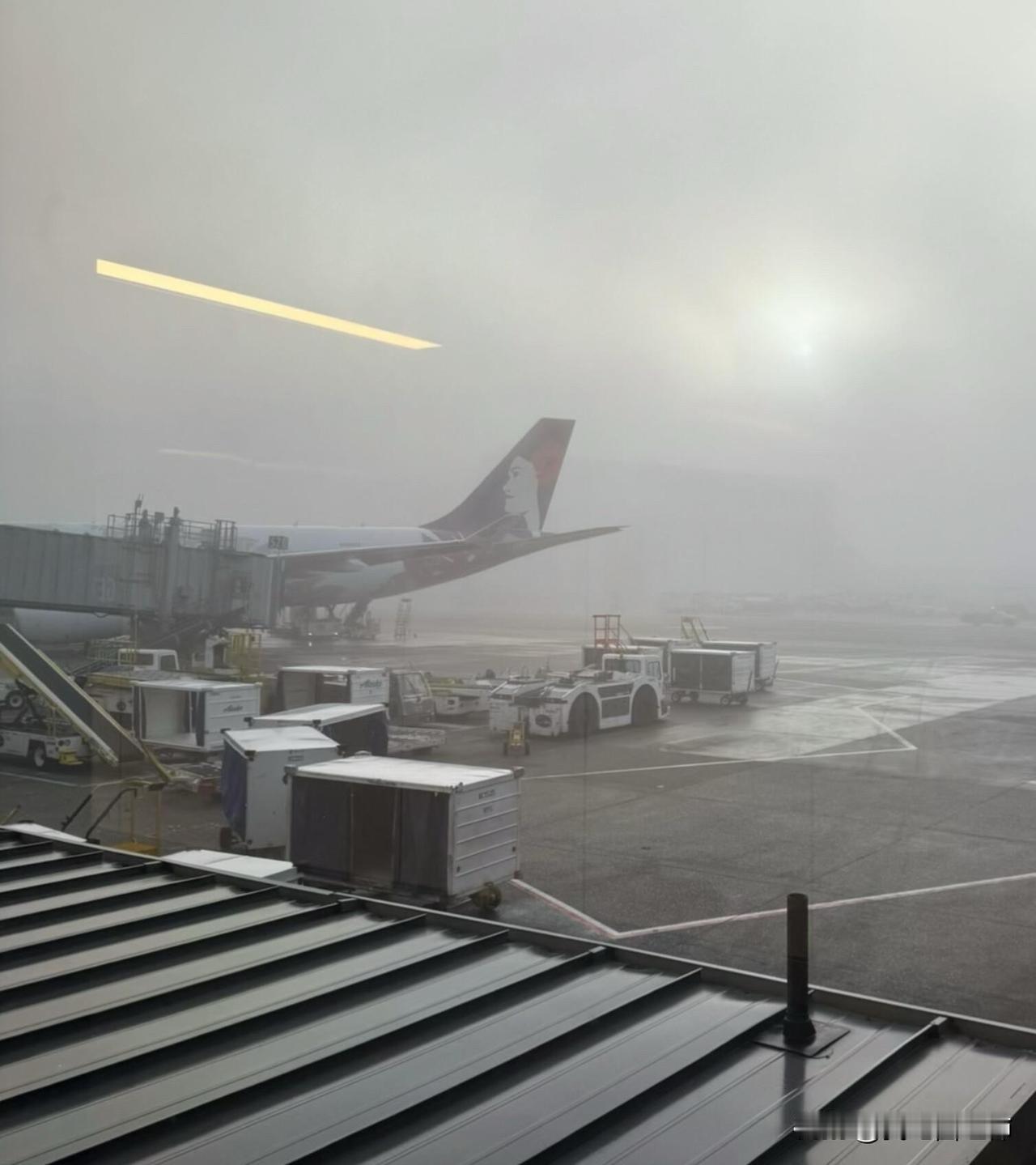 为什么我谈的对象都不舍得为我付出
可以有人帮我分析一下吗…
身高170 111斤