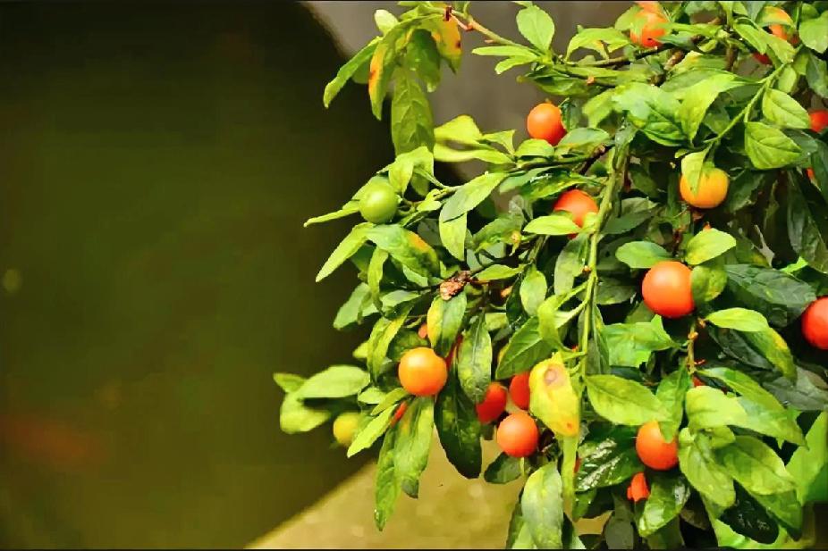 前两天我同事跟我说，他跟他老婆两人都后悔结婚在一起了！

同事还没结婚的时候，谈