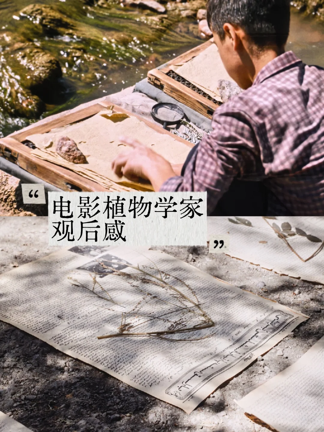或许去过新疆的盆友会更喜欢这样的电影