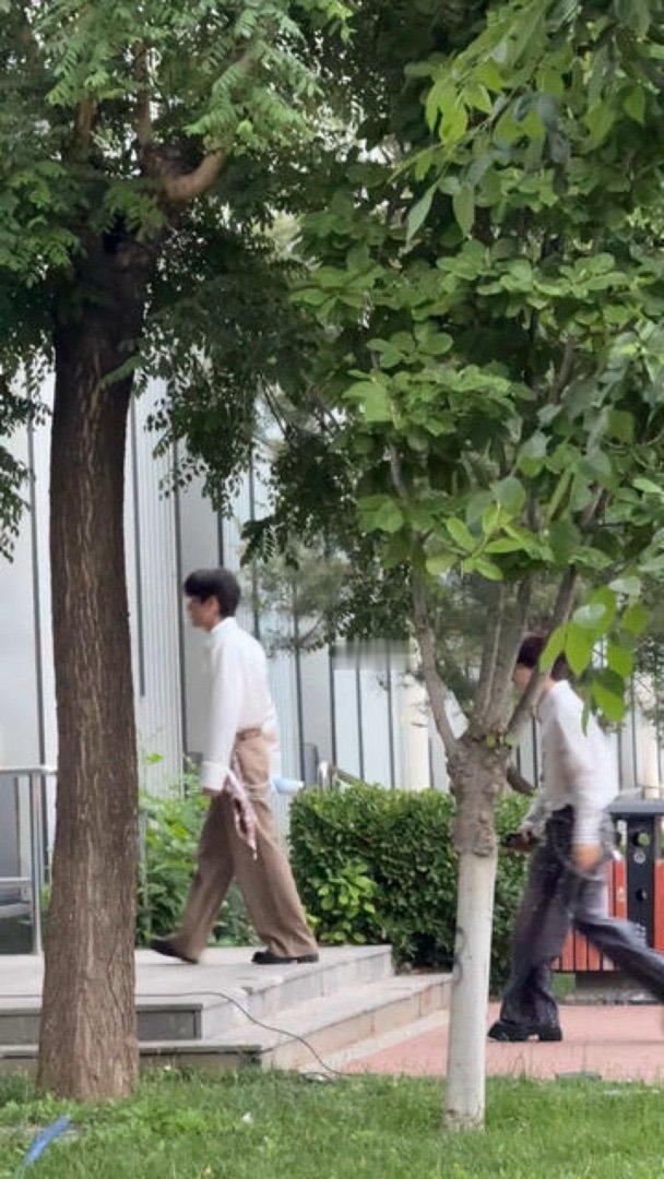 好想一巴掌拍他背上20260524｜张颜齐超燃青春的合唱转场进妆 小… 戳我查看