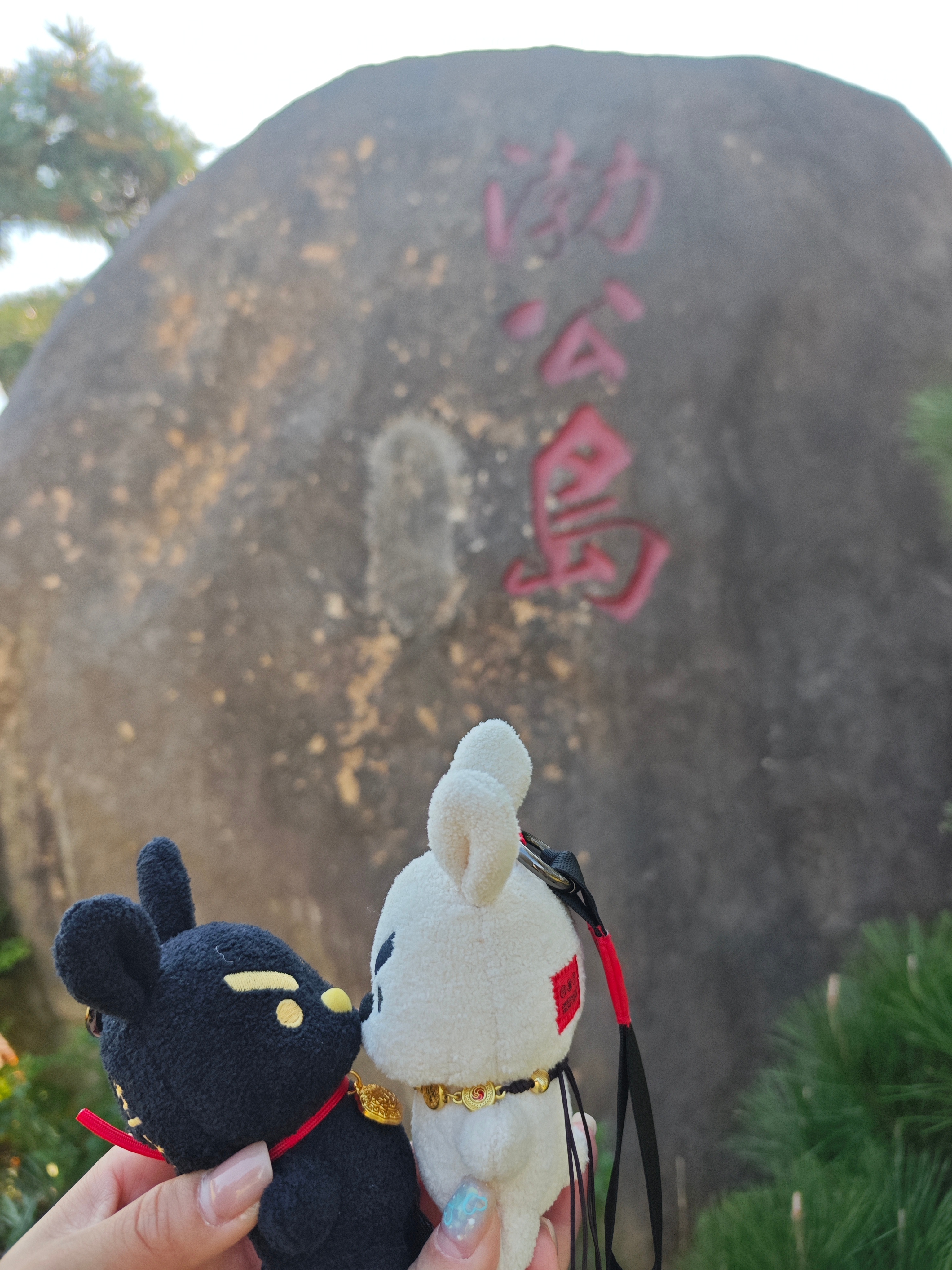 时间好快啊，冬天去的无锡，现在又夏天了。 