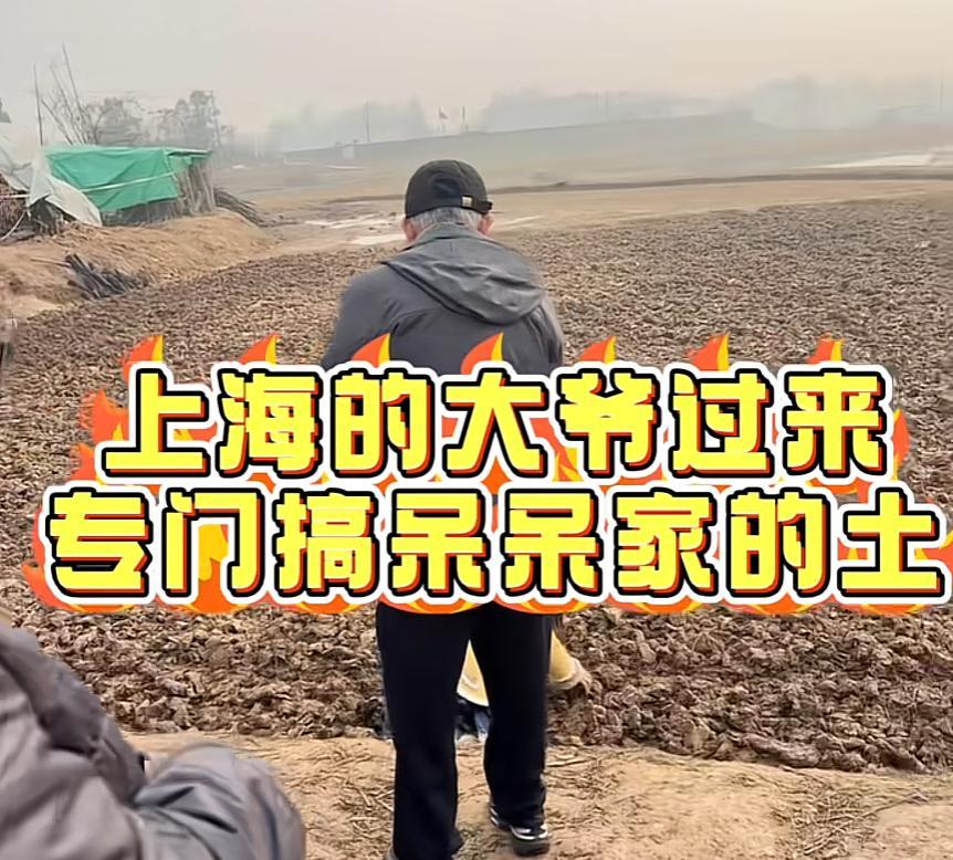 呆呆火了我有预料。

呆呆的父母亲戚火了我也有预料。

可我万万没想到，有一天呆