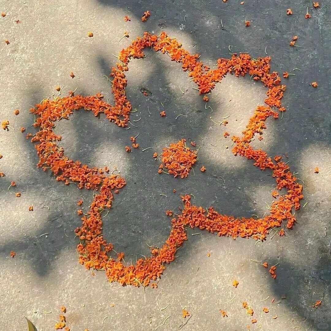 𝙎𝙝𝙖𝙧𝙚｜朋友圈背景图金秋壁纸大放送