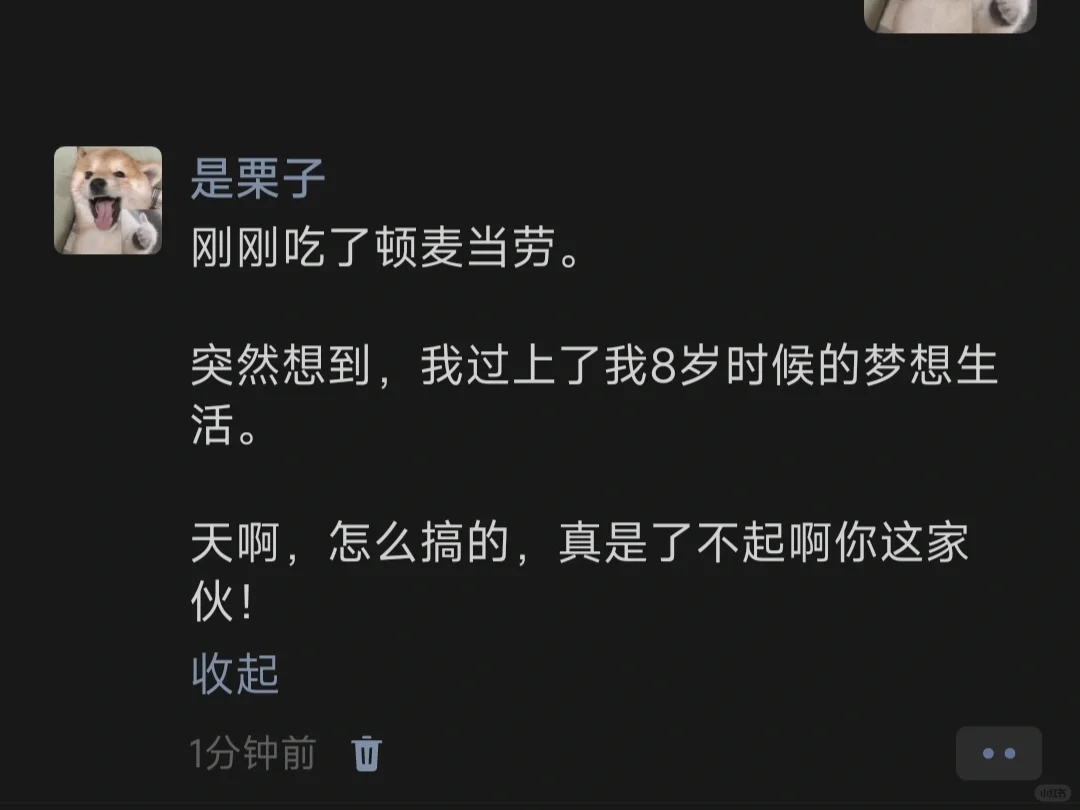 刚刚吃了顿麦当劳。