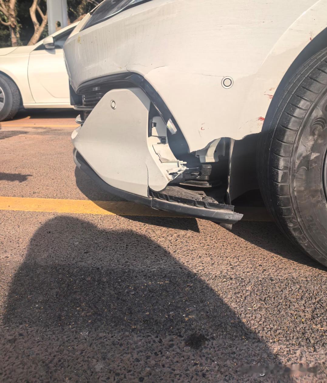 从成都出发到西昌，高速上突然窜出一条狗，120码的速度根本躲不开，让速不让道撞了