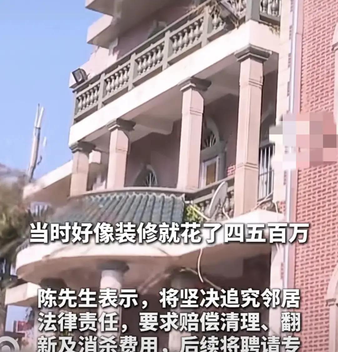 福建泉州一栋花了500多万盖的别墅，房主陈先生常年在外做生意，房子空了好几年。就