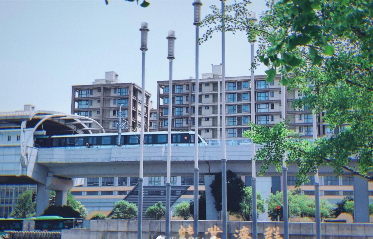 忆往昔，国立药专历八十九载耕耘；
看今朝，药学高地启薪火永续征程。
钟山翠色润药