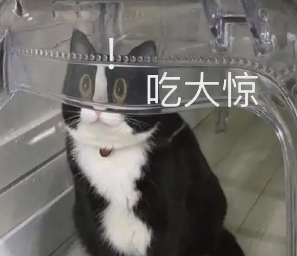 王星称被关在有50个中国人的建筑里  王星目前还不能离开泰国  最该感谢的是你的