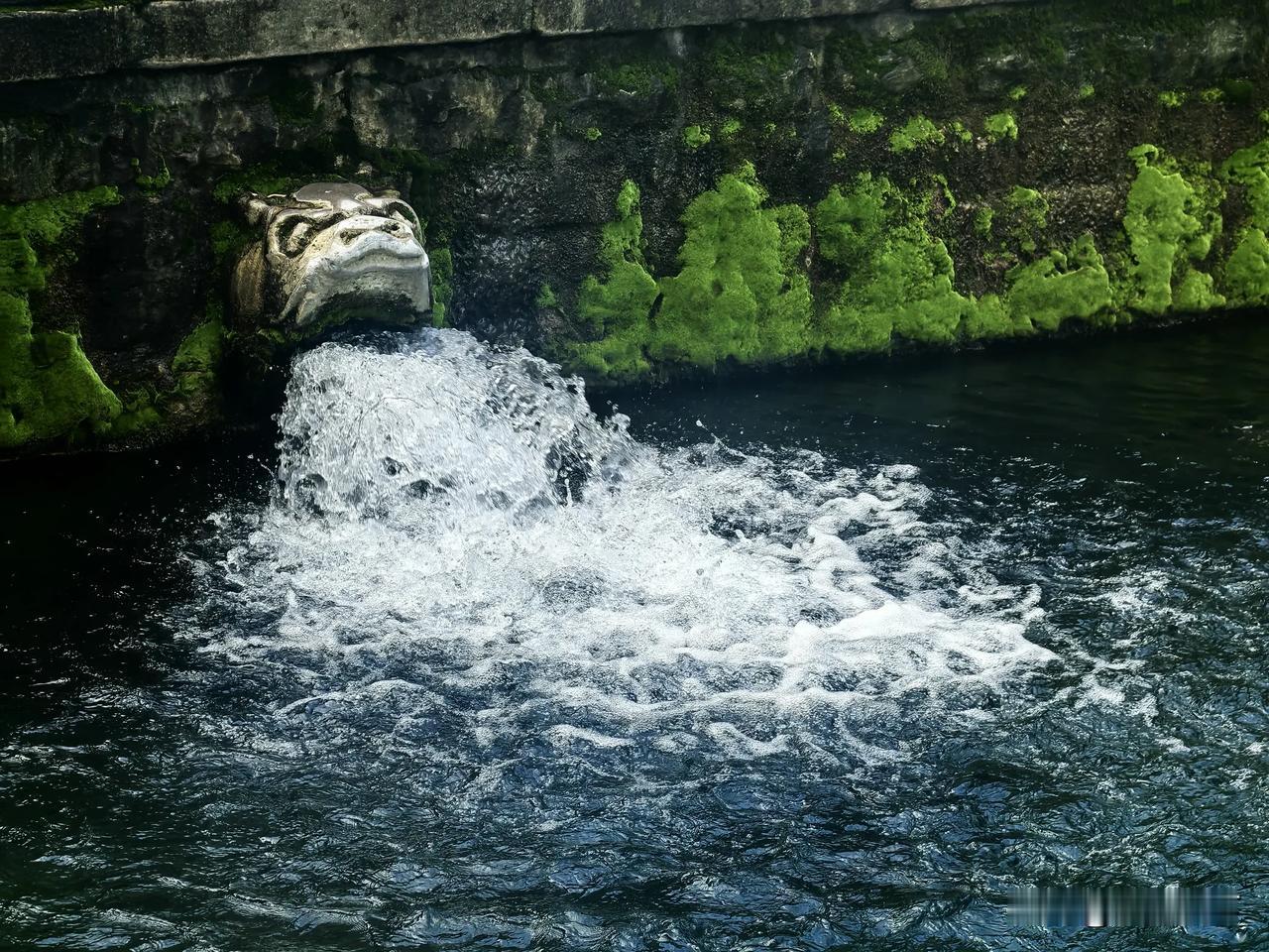 黑虎泉泉水喷涌而出