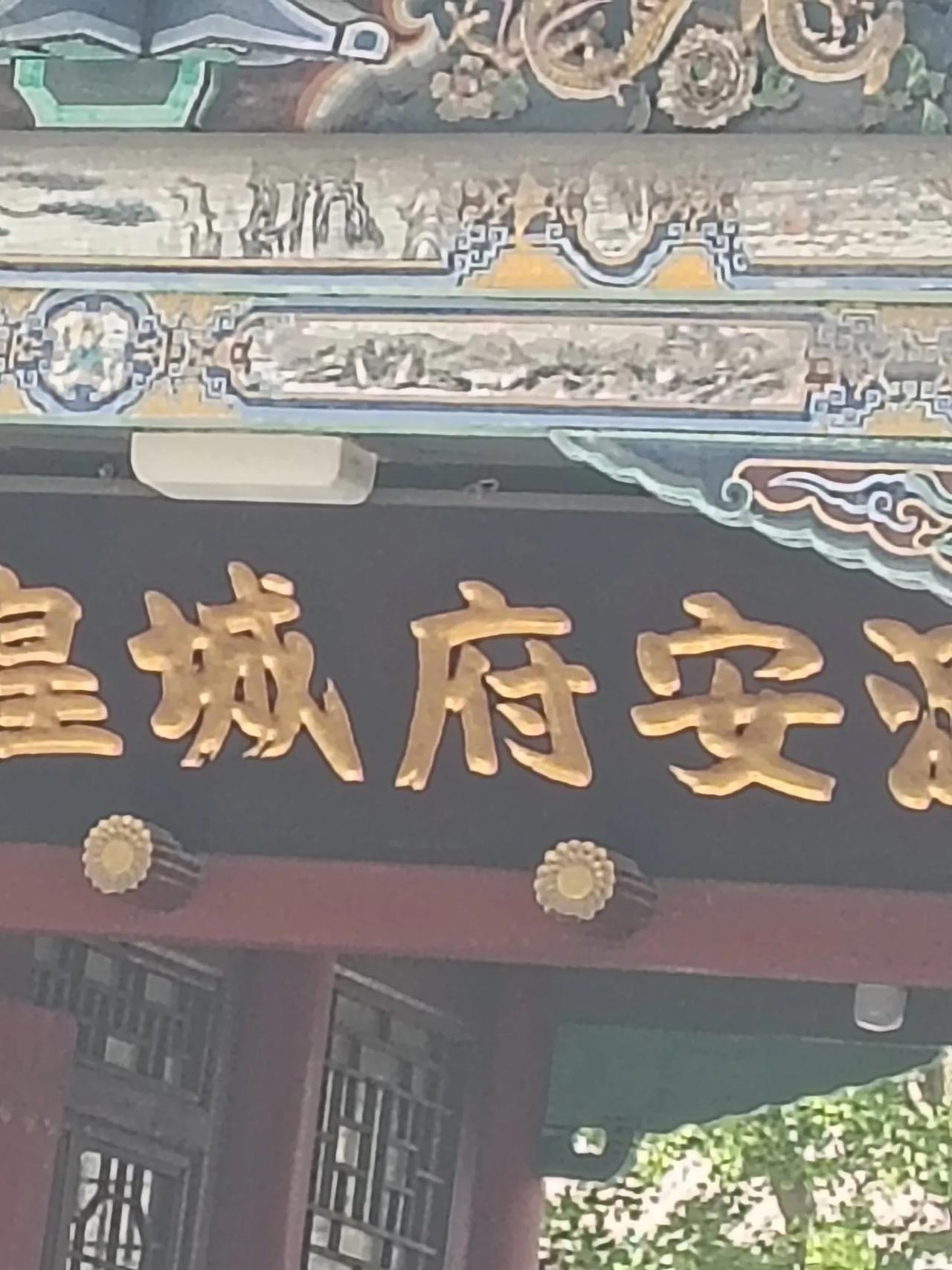 夏日生活打卡季