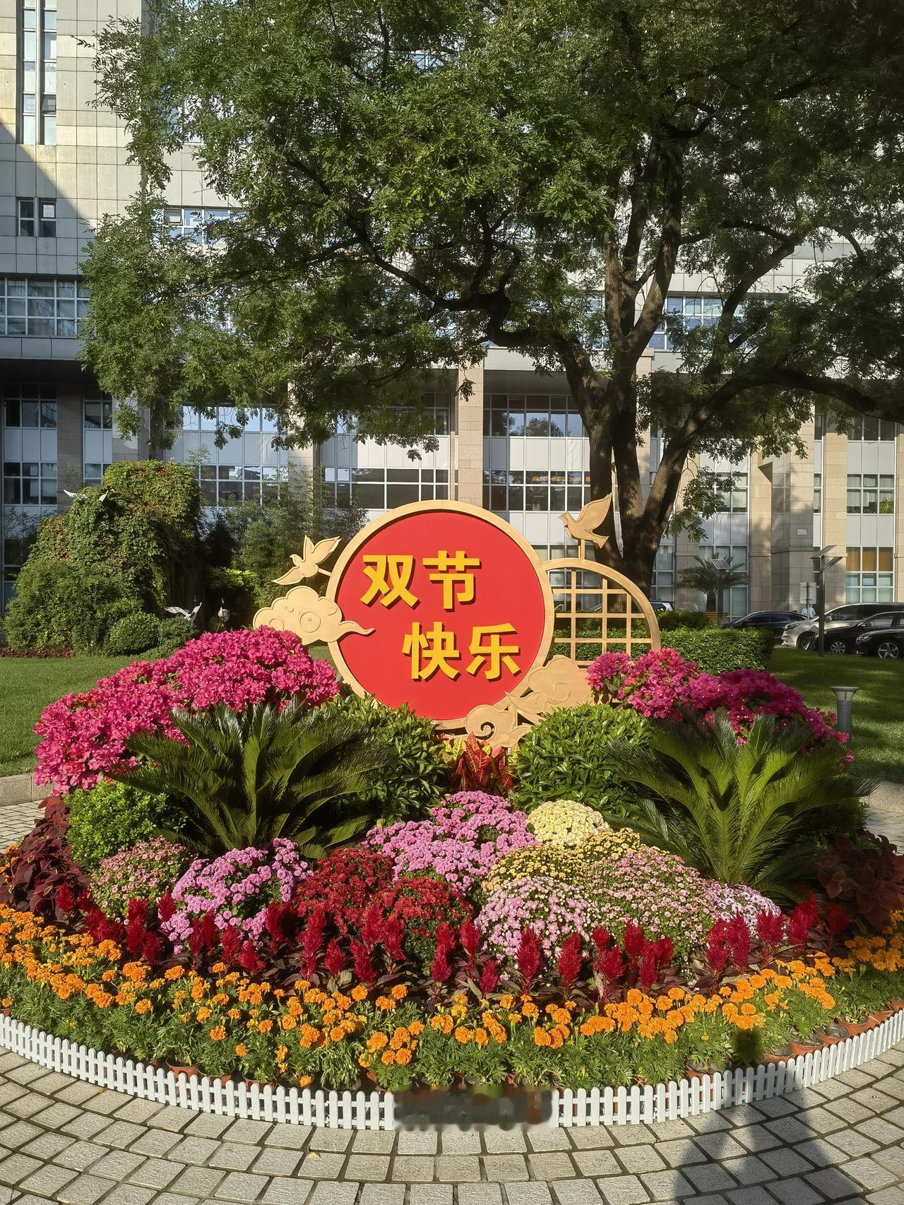 单位院子里面的花坛，布置得相当有节日氛围，祝大家双节快乐！