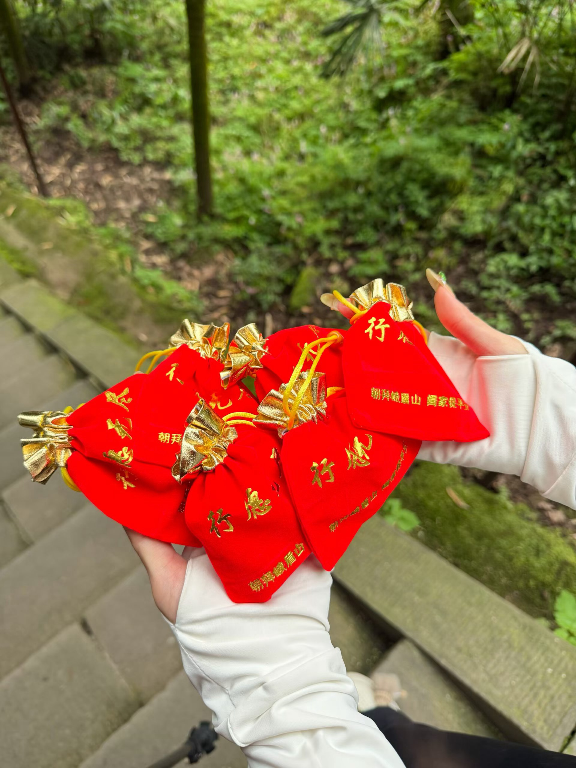 来爬峨眉山  大家都爬上去了 我坐这猛猛写了半个小时的祝福和心愿 然后疯狂下单 