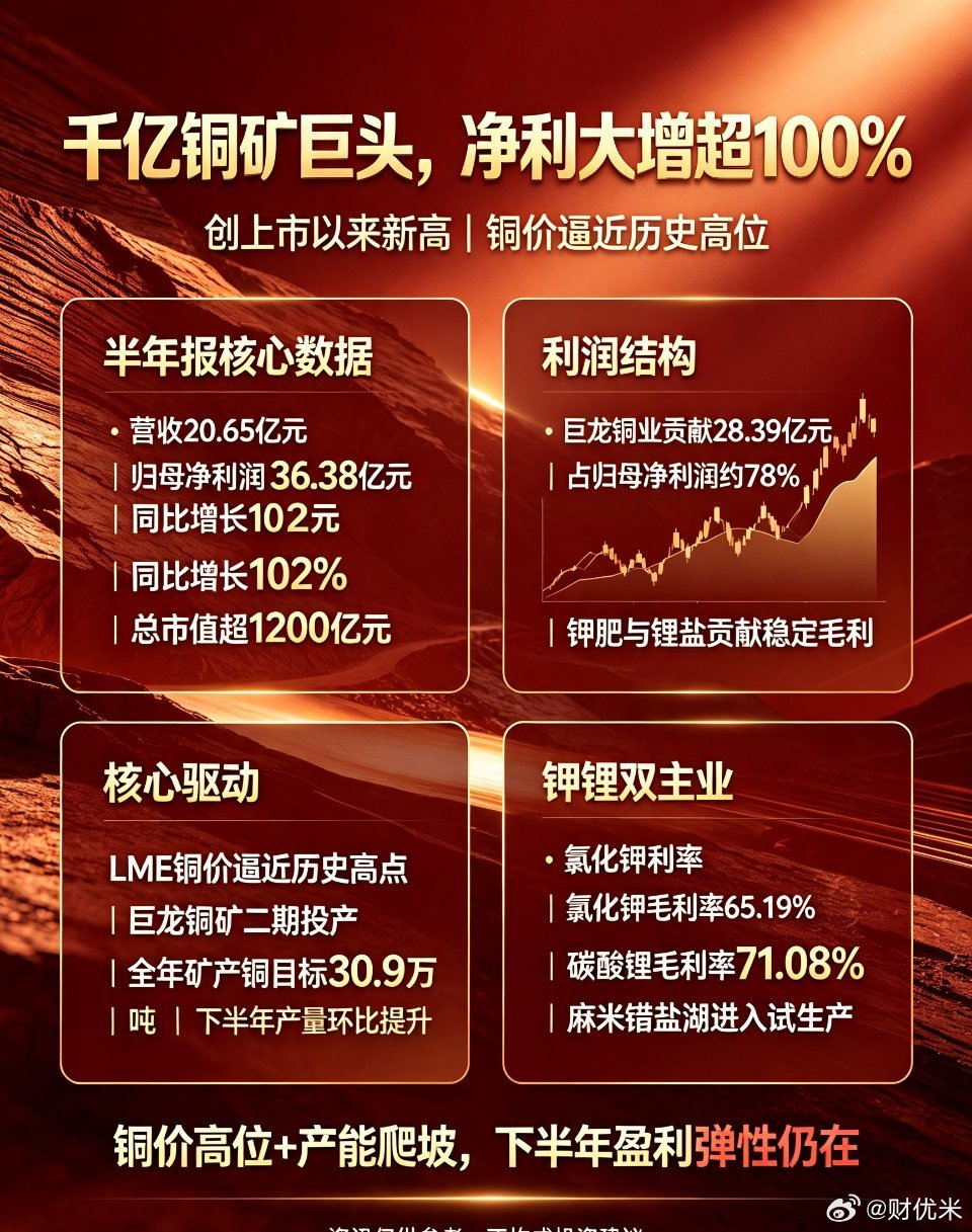 千亿铜矿参股龙头半年净利翻倍创历史新高藏格矿业 铜价 盐湖锂钾资源千亿市值藏格矿