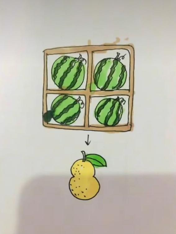 〔看图猜成语〕
图中就有两幅画；
田字格里西瓜装；
下方还有一个梨🍐；
猜个成