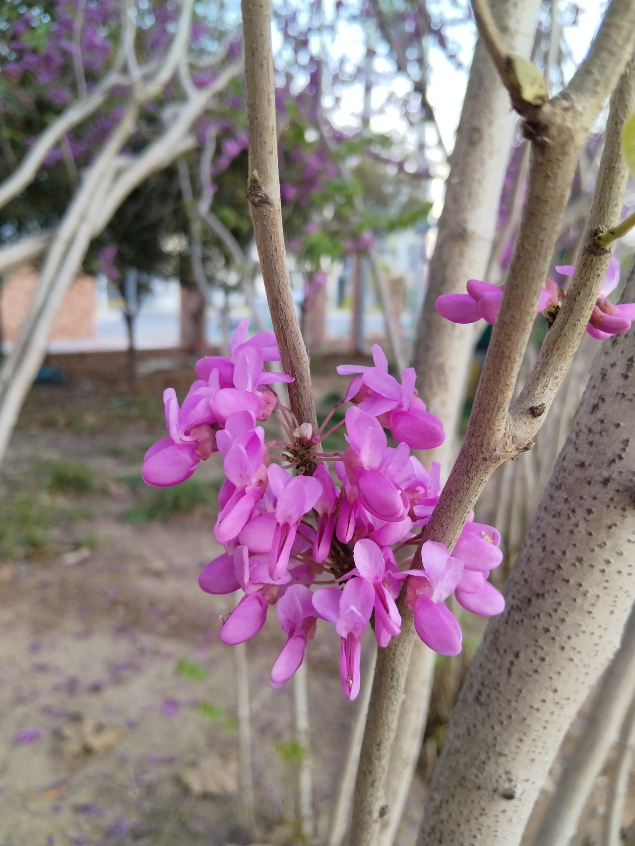 楼下阿姨跟我抱怨，说儿媳太懒，不做家务不做饭。一说她，她就举个美甲手，说自己这双