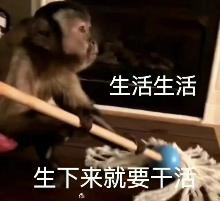 评论抽两个国庆上班的，没三倍的打工人配件盲盒 ​  ​​​