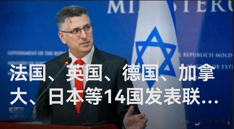 法国、英国、德国、加拿大、日本等14国发表联合声明

   据外媒报道当地时间2