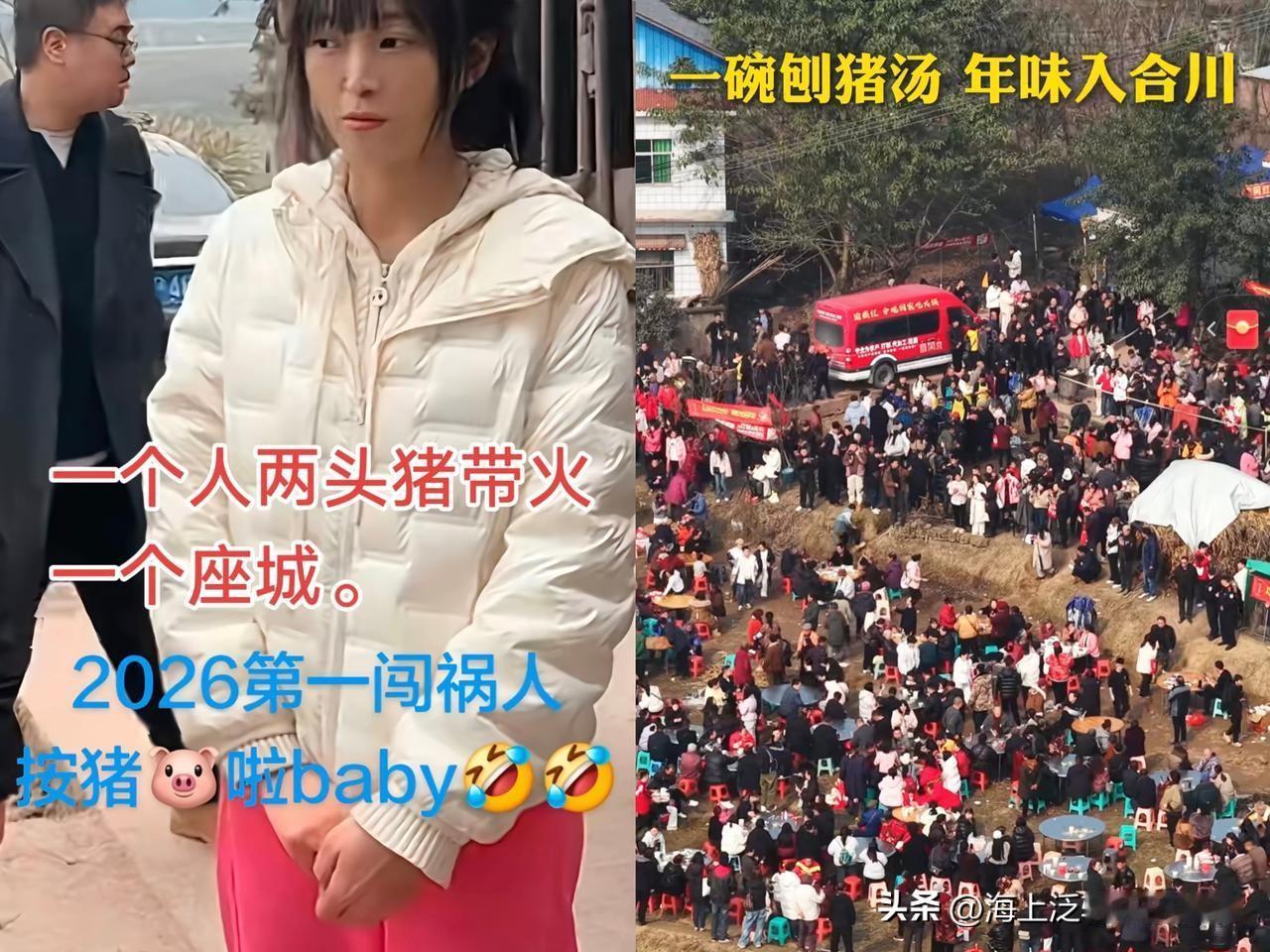 我问我闺蜜：杀猪宴结束了，合川呆呆这一次能赚100万吧？

闺蜜直接笑我：“10