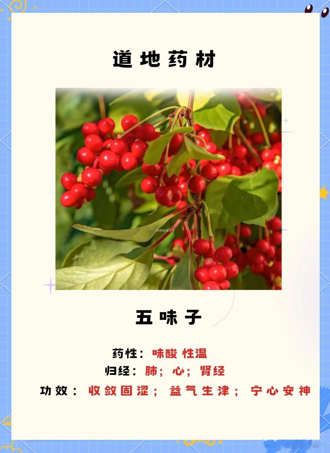 五味子核心立论总纲（全文最关键一句话）五味子不是添油加火的补益药，而是收敛固摄、