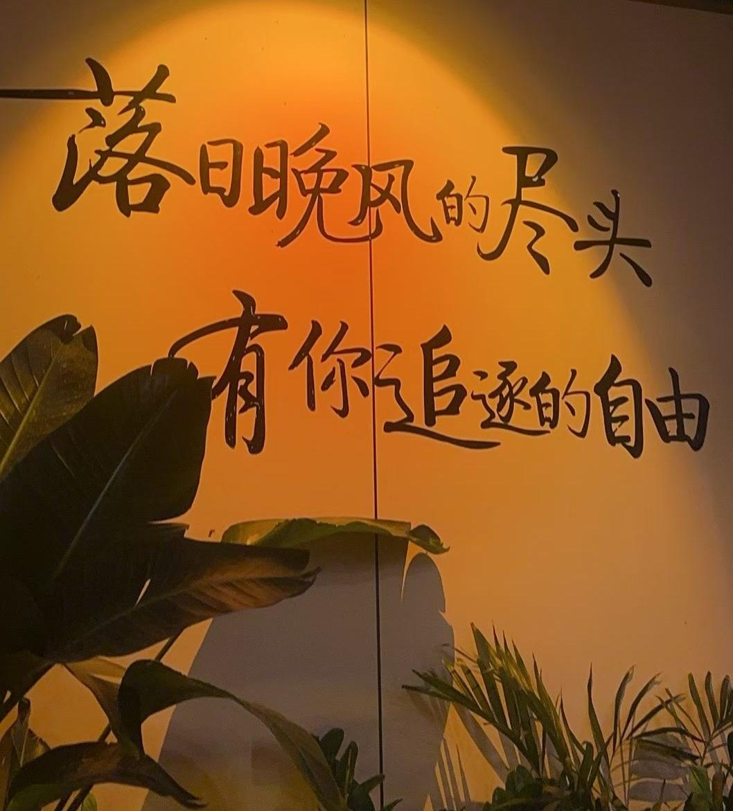 很喜欢鲁豫的一句话：“我得好好地、尽力地、抡圆了活着，守住我的生活。”
