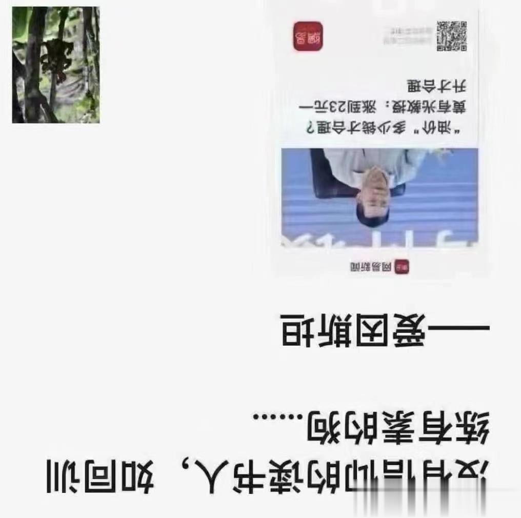 治腻苔，常规方中加入“明矾”一药，效若桴鼓[赞啊] #论道岐黄#大凡健康人的正常