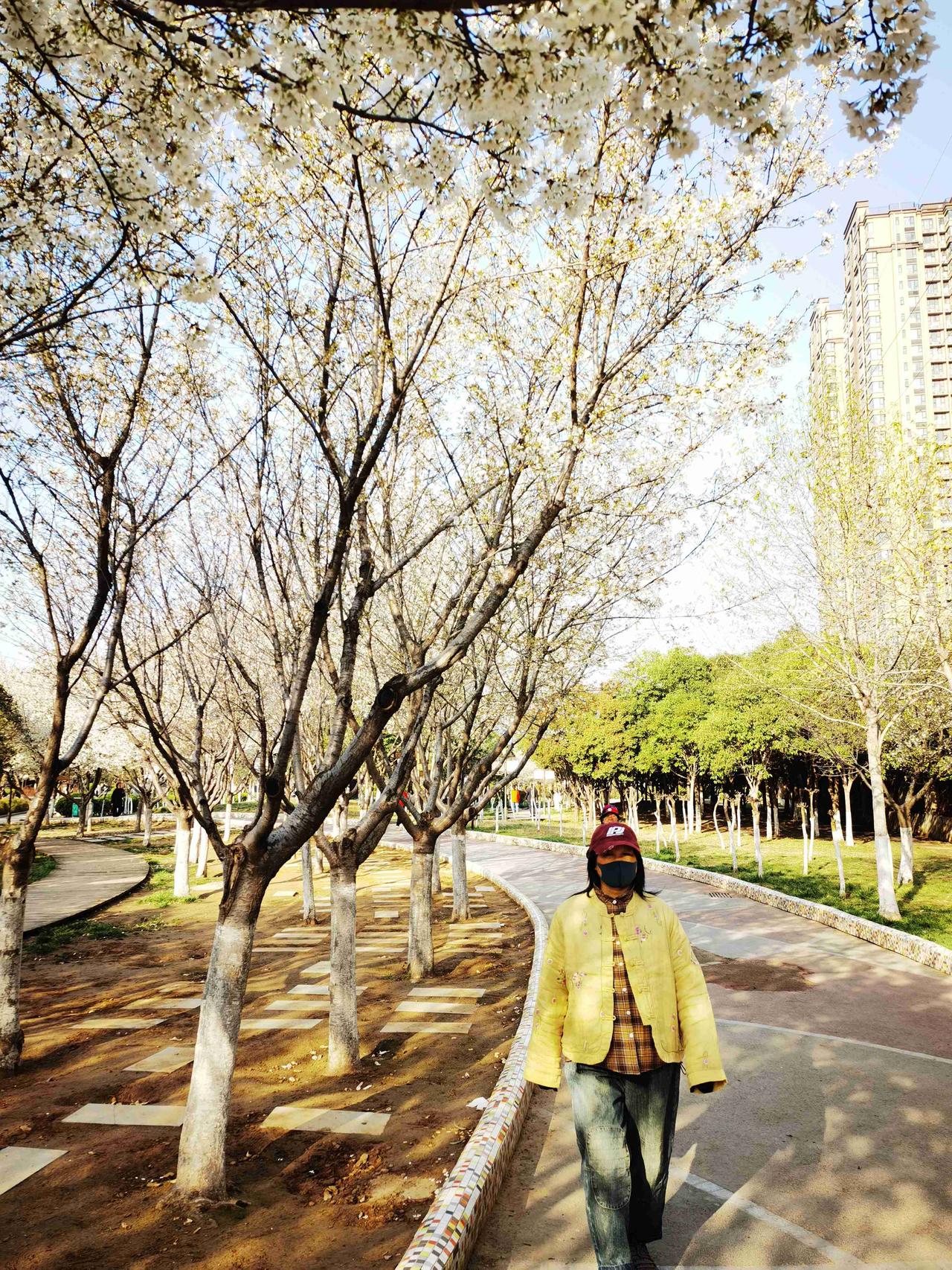 我的今日状态：😁轻松愉快
我这里的天气：☀️晴天 
早晨迎着初升的太阳，来到亚