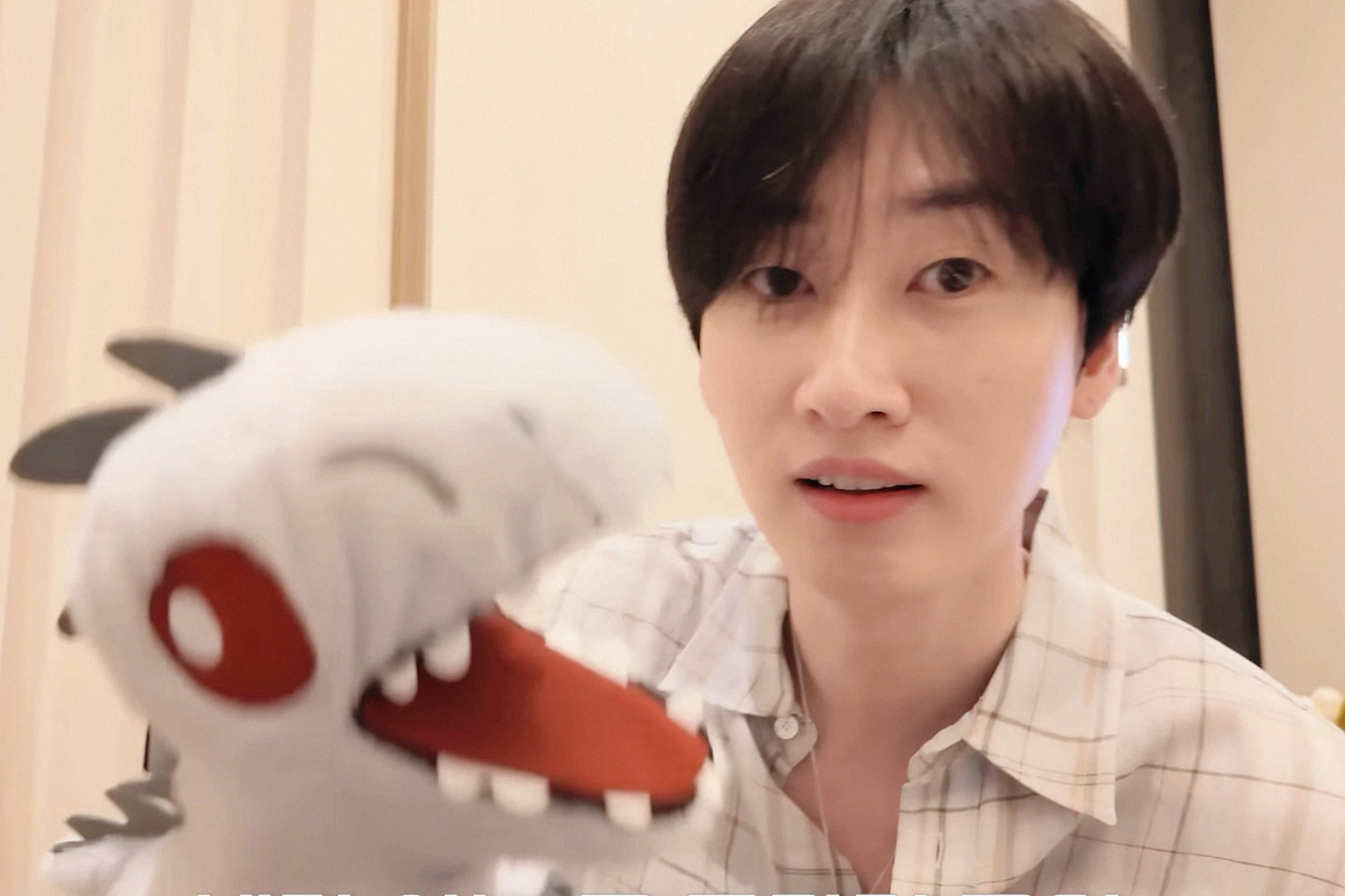 恐龙兔叽李赫宰