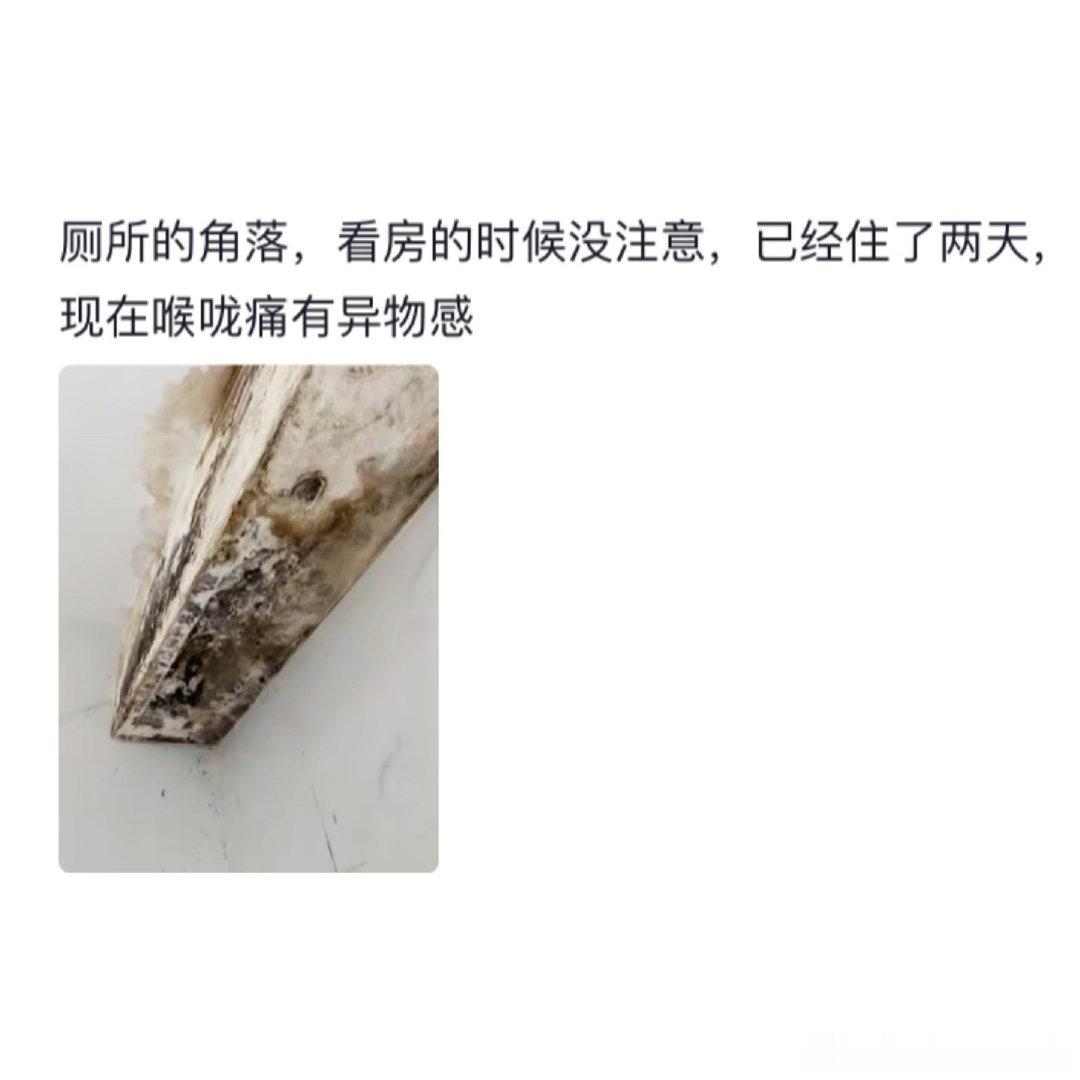 不要小瞧墙壁发霉的伤害力 （