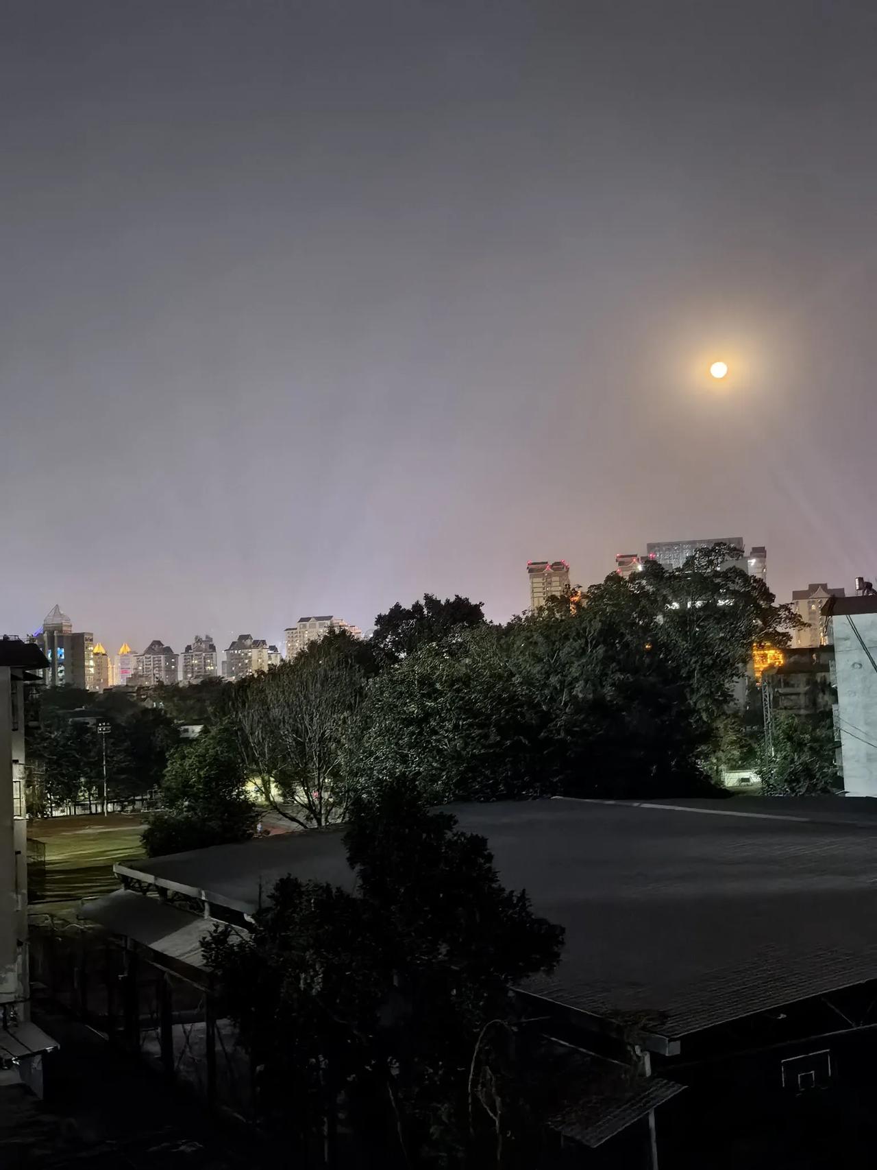 旅居在云南西双版纳，一直感觉城市风景就是和其他地方不一样，不仅气候暖和，而且冬天