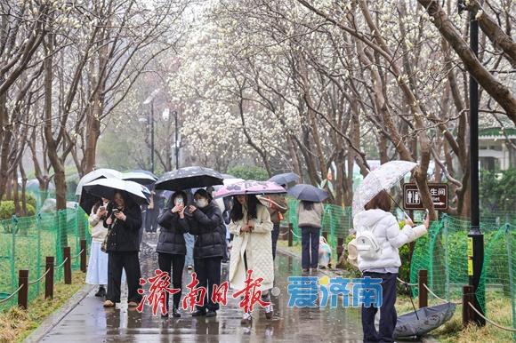 降雨+大风+降温齐至！济南17日迎降水，18日最高温骤降至10℃！短暂晴好之后，