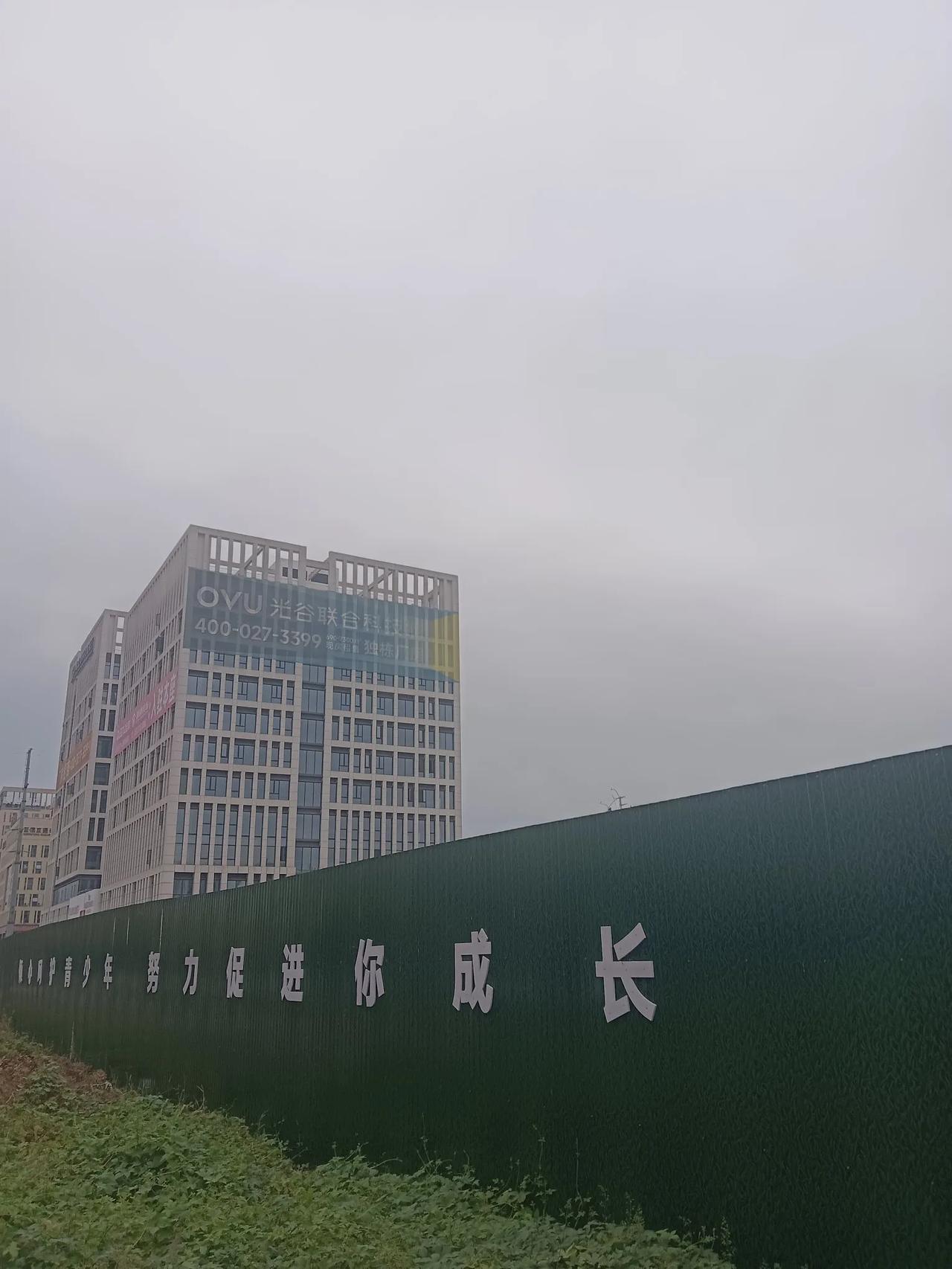 一句话分享今日感悟葛店这边的房子真多！到处都是小区，都集中在葛店南站（如下图1、