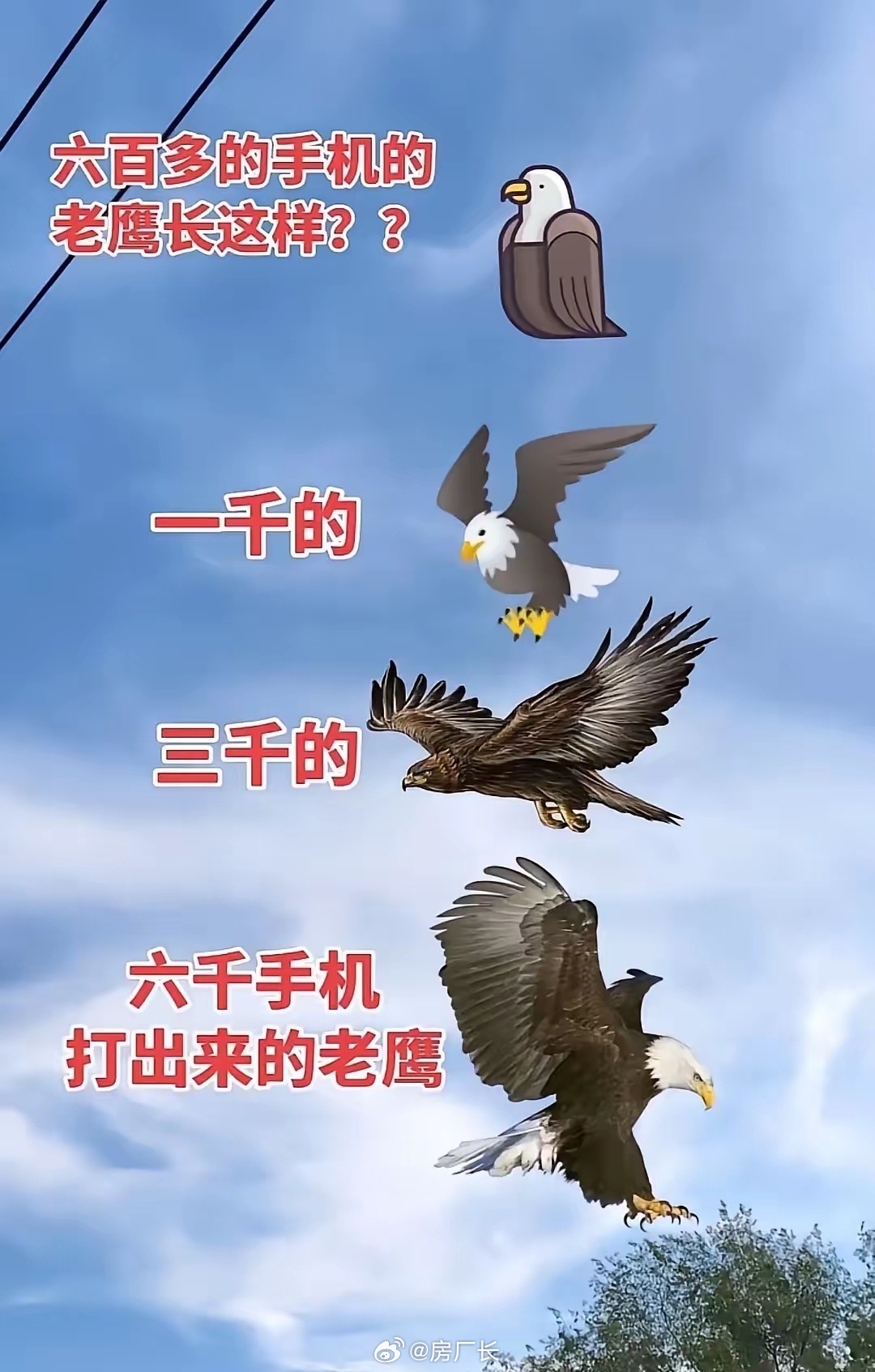 不同价位的手机打出来的老鹰不一样？ 