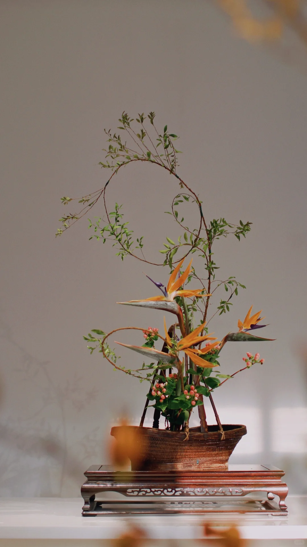 让心和鸟儿一起翱翔