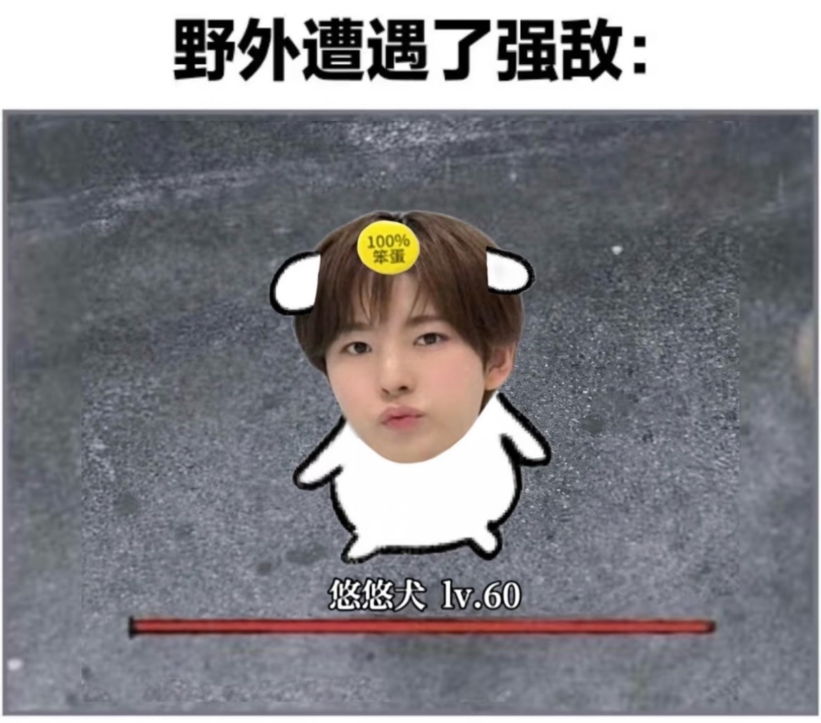 悠悠犬胜利原因：对手被可爱晕 