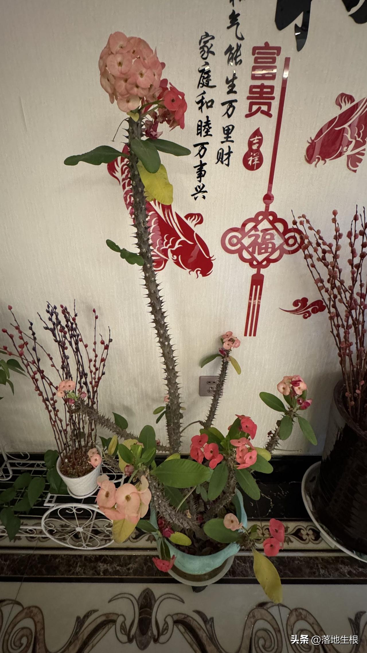 我国排名前八的姓氏：你姓啥？
第8名：赵姓，2870万人
第7名：黄姓，3370