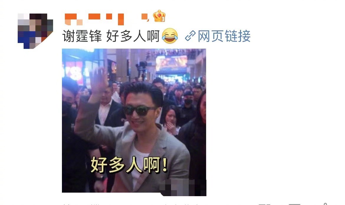 #谢霆锋 好多人啊# 好多人啊.jpg谢霆锋版已更新，哥在人潮汹涌的包围下显得好
