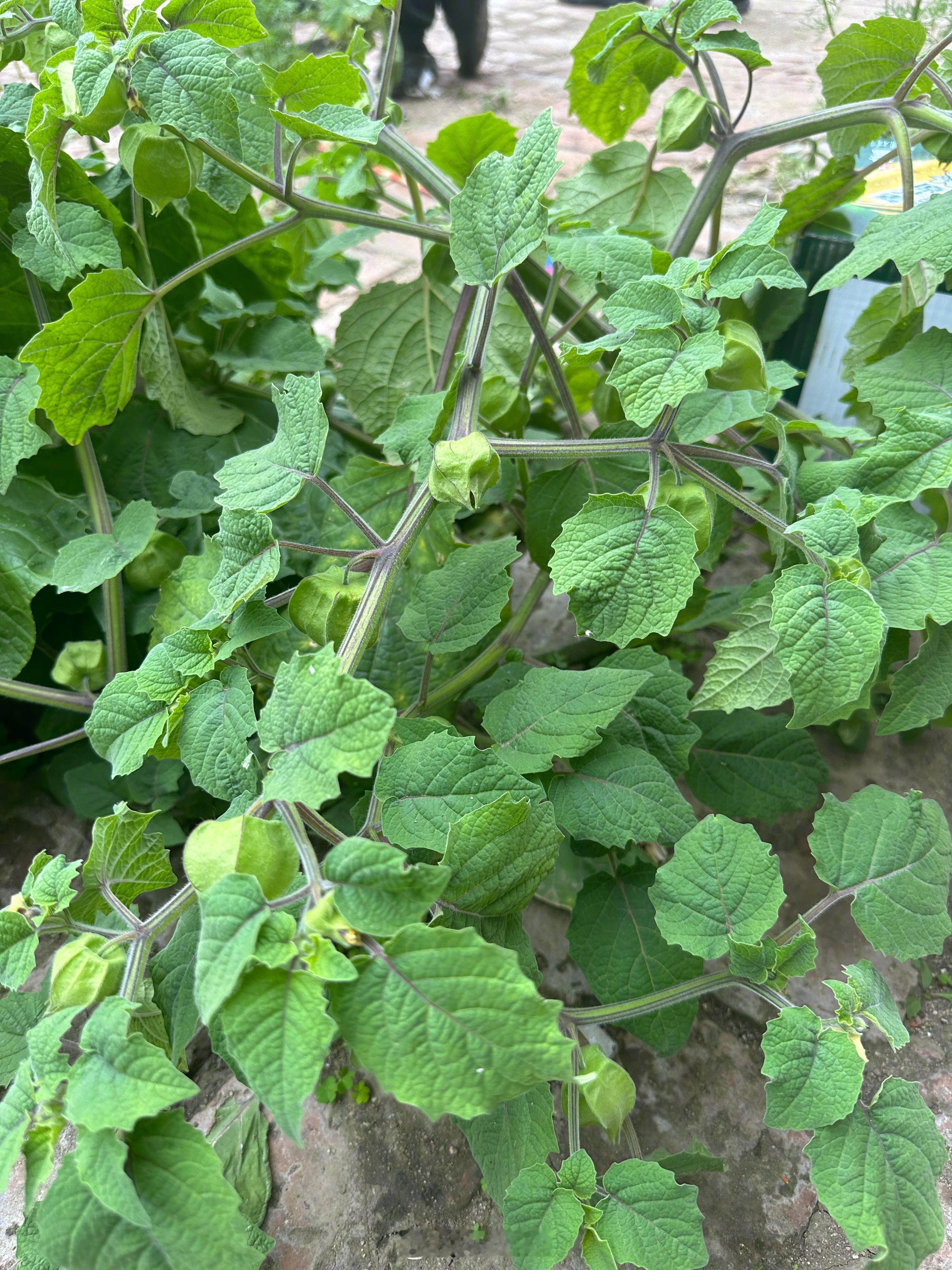 有人认识吗？ ​​​