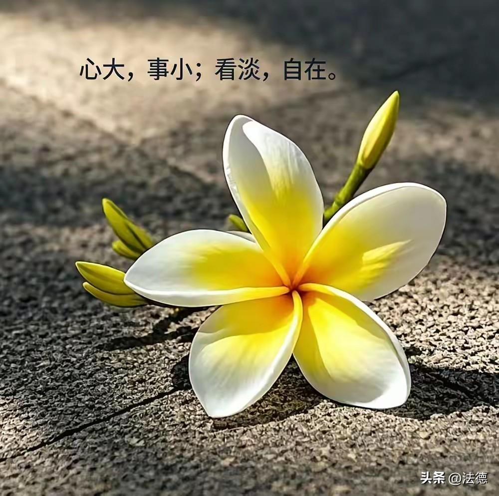 熬夜刷手机，看似省钱实则代价沉重
 
很多人总觉得睡前躺着刷手机不用花钱，是捡了