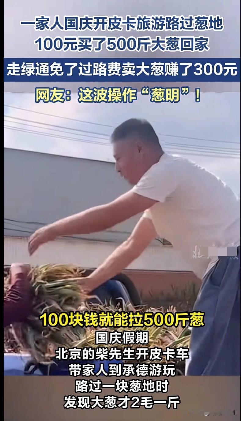家人们快看这波“葱明”操作！国庆开皮卡旅游，路过葱地直接花100元怒买500斤大