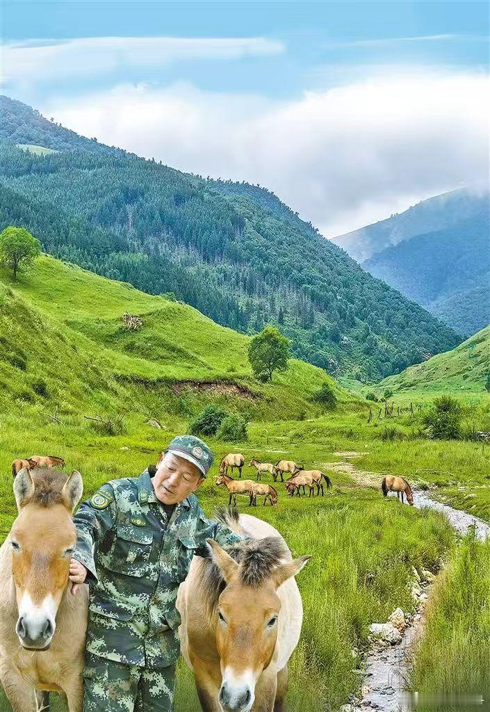保护野生动物 夏末秋初的大青山深处，草木繁茂、溪流潺潺。普氏野马三五成群，在林间
