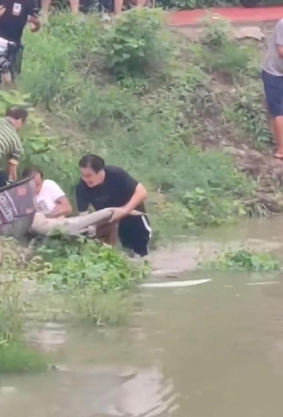 这是多少钓鱼佬梦寐以求的梦中情景？
梦中情鱼？