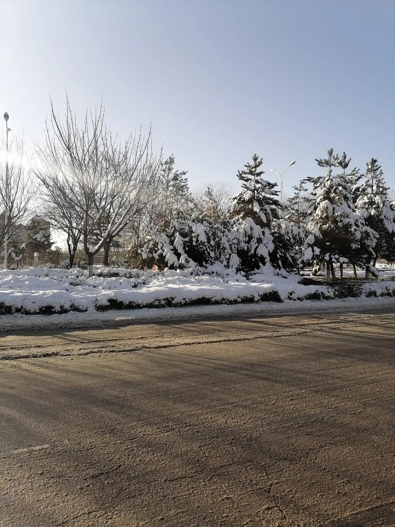 虞美人
春雪
冬雪天寒雪凝聚，春雪浓雾罩。立春天气日渐暖，雪花飞扬屑屑、雪融融。