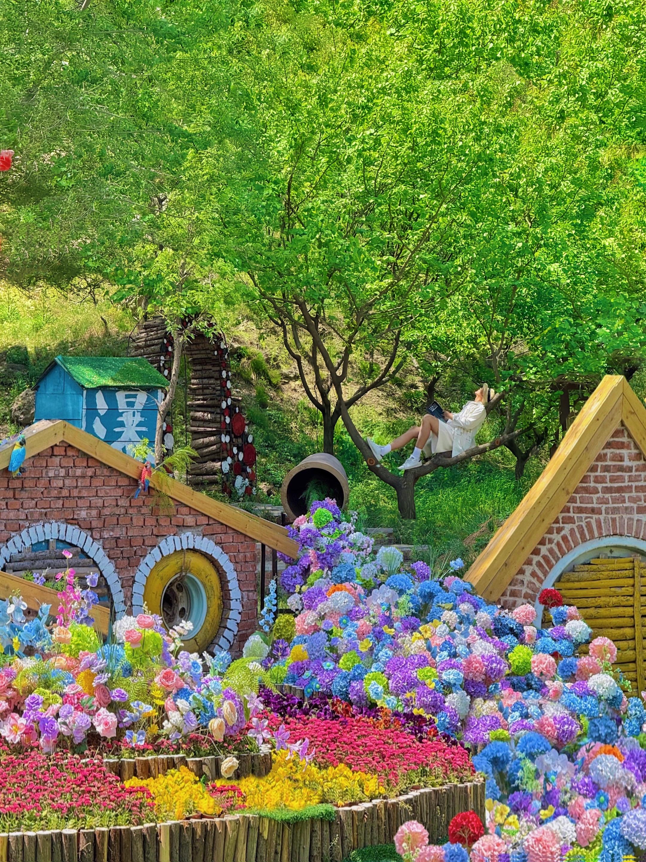 在青州✨霍比特小屋太可爱了❗️。青州❗️ 你还有多少惊喜是我不知道的?...