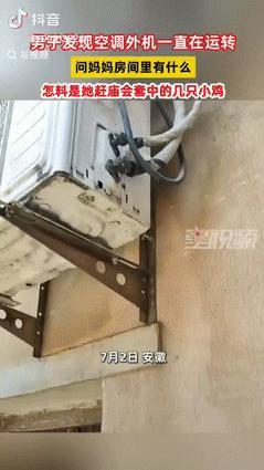 [太阳]7月2日，安徽一女子因天气炎热，担心楼上养的4只小鸡被热死，索性将空调打