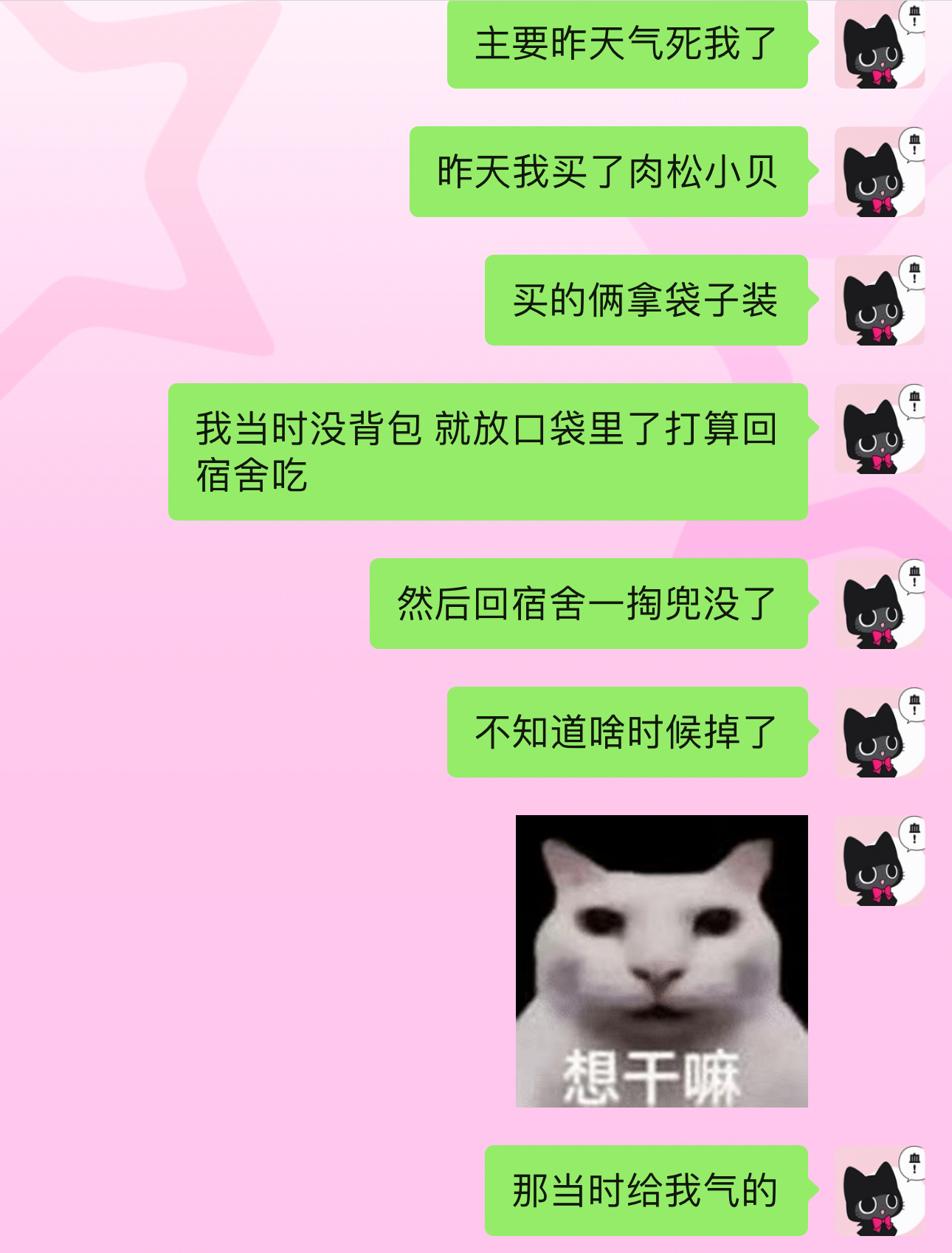 你可以偷钱！可以偷身份证！可以偷银行卡！你偷一个饿了一天的女孩纸专门去买的肉松小
