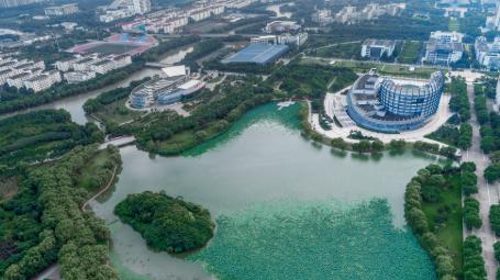今天咱们聊一所特别实在的学校——衡阳幼儿师范高等专科学校。
为什么说它实在？因为